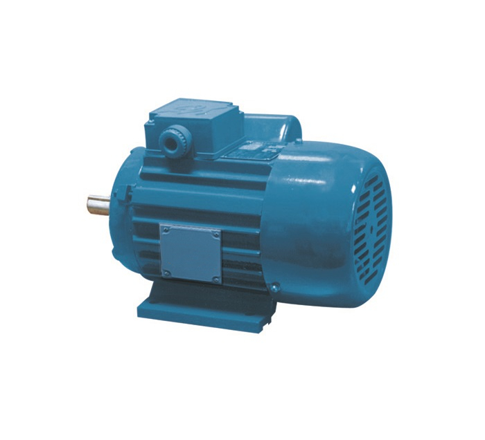 YY Series Single phase Induction motors