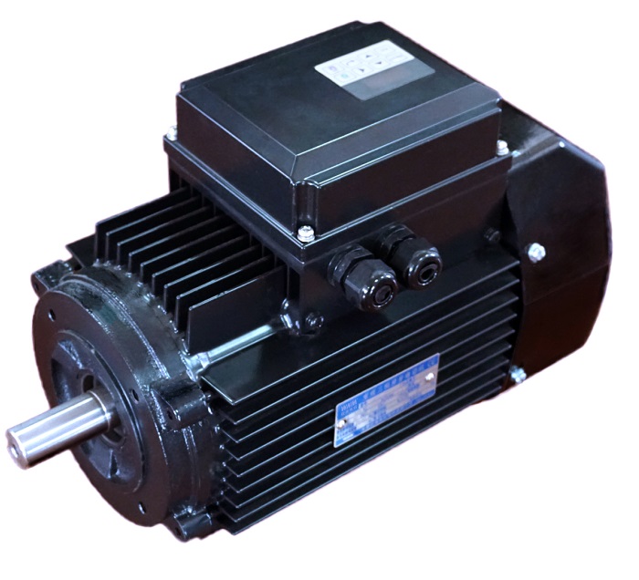 YZNP2 Series Smart Control Induction Motor