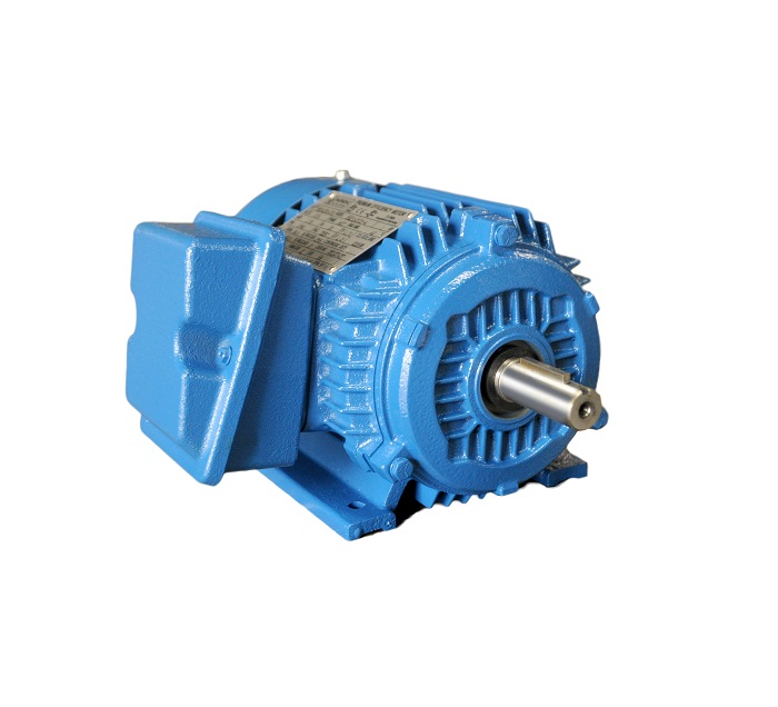 NEP Series Premium Efficient NEMA motor